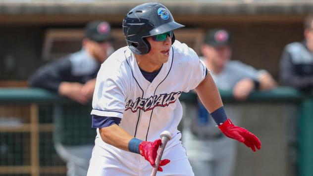 Lakewood BlueClaws at the plate