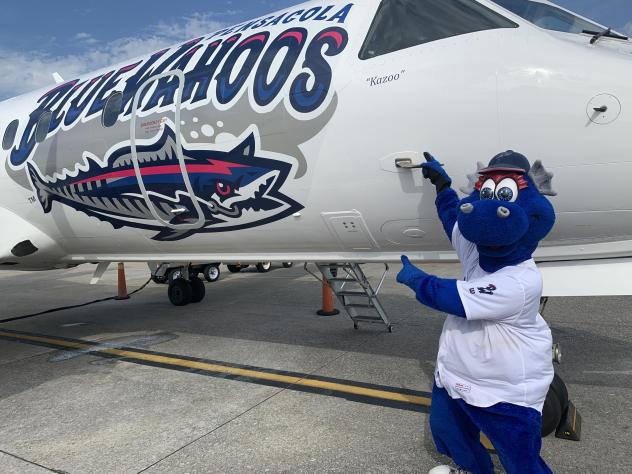 Pensacola Blue Wahoos and Silver Airways unveil Kazoo Airplane