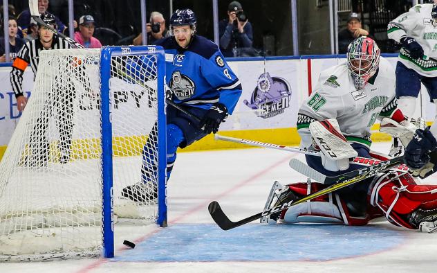 Jacksonville Icemen forward Cam Maclise reacts after a goal against the Florida Everblades
