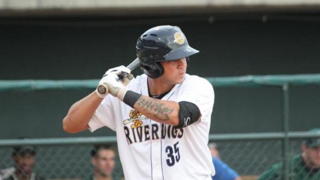 Charleston RiverDogs catcher Gary Sanchez