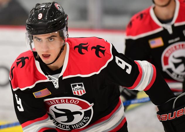 Defenseman Michael Ferrandino with the Waterloo Black Hawks