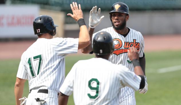 Long Island Ducks congratulate David Washington on his home run