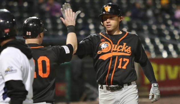 Matt den Dekker of the Long Island Ducks receives congratulations after his home run