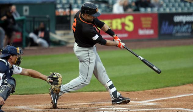 Steve Lombardozzi of the Long Island Ducks