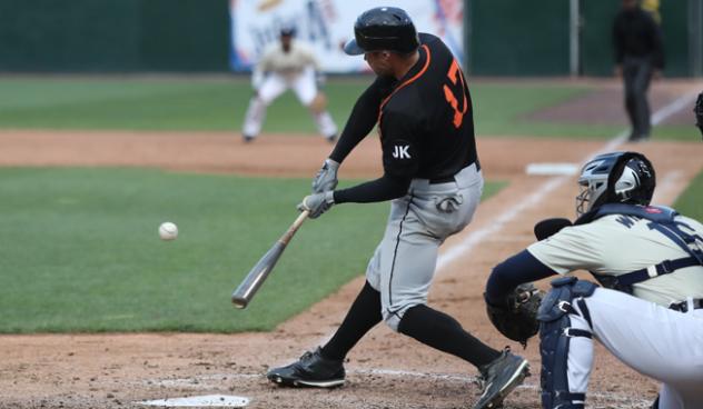 Matt den Dekker at bat for the Long Island Ducks