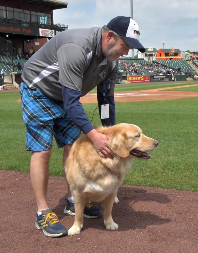 Boomer, bat dog of the York Revolution