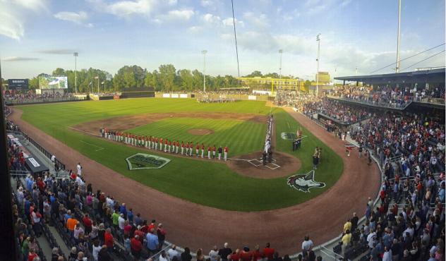 SEGRA Stadium, home of the Fayetteville Woodpeckers