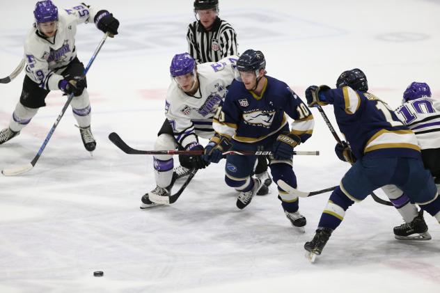 Tri-City Storm vs. the Sioux Falls Stampede