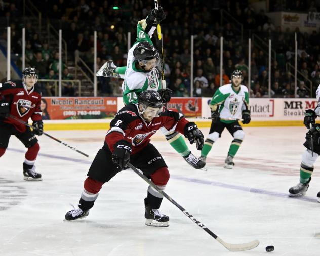 Vancouver Giants centre Tristen Nielsen against the Prince Albert Raiders