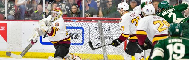 Chicago Wolves vs. the Iowa Wild