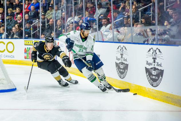 Florida Everblades vs. the Newfoundland Growlers