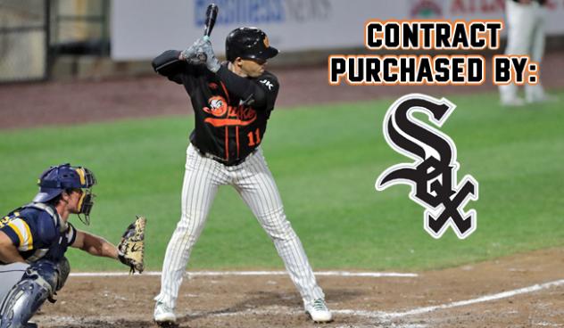 Ivan De Jesus Jr. of the Long Island Ducks