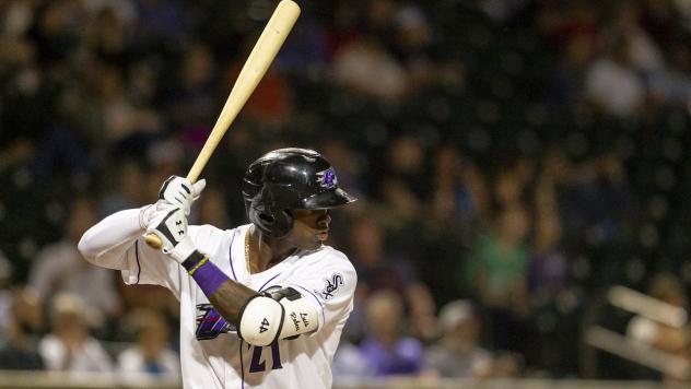 Winston-Salem Dash outfielder Luis Robert