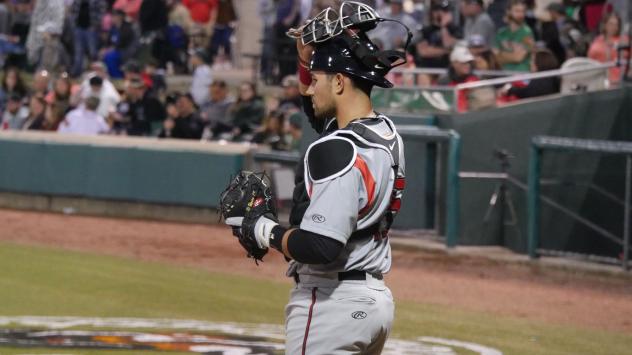 Carolina Mudcats catcher Payton Henry