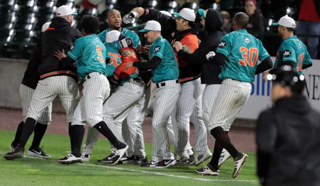 Long Island Ducks celebrate a waddle-off win