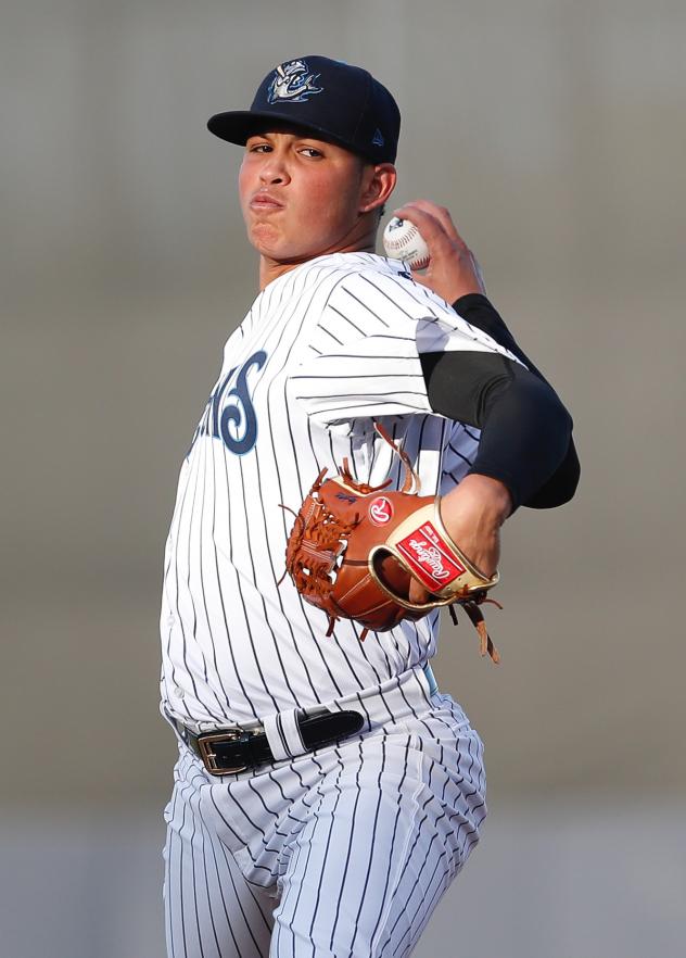 Tampa Tarpons pitcher Miguel Yajure