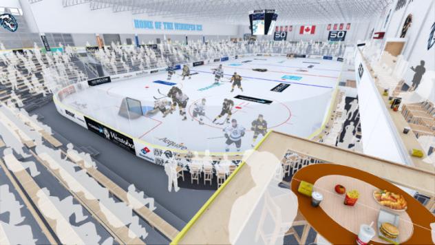 Wayne Fleming Arena rendering from southeast corner