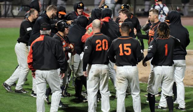 Long Island Ducks celebrate a waddle-off win