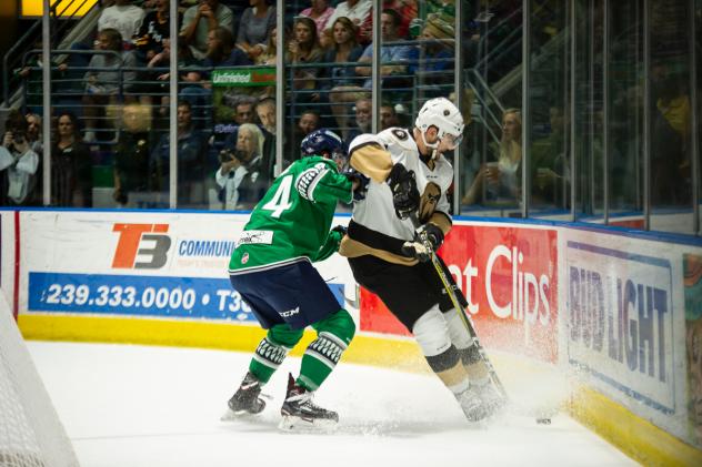 Florida Everblades battle the Newfoundland Growlers