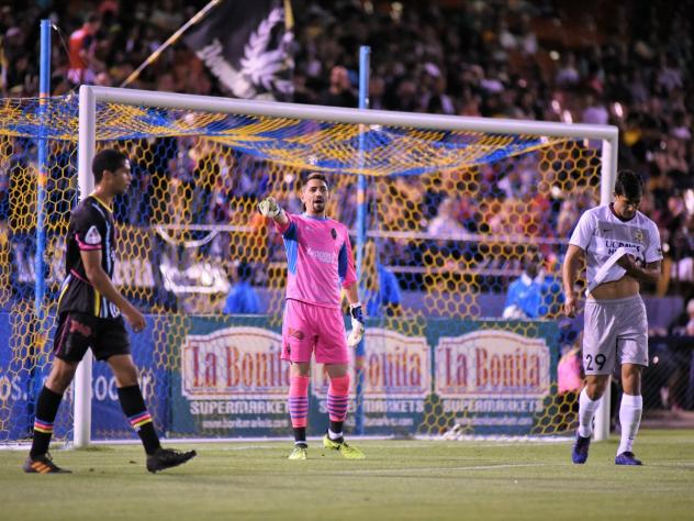 Las Vegas Lights FC in action