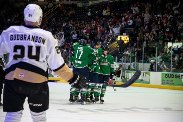 Florida Everblades celebrate a Blake Winiecki goal against the Newfoundland Growlers