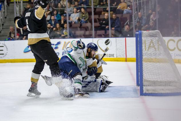 Florida Everblades battle the Newfoundland Growlers