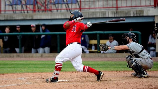 Alexis Olmeda of the Burlington Bees