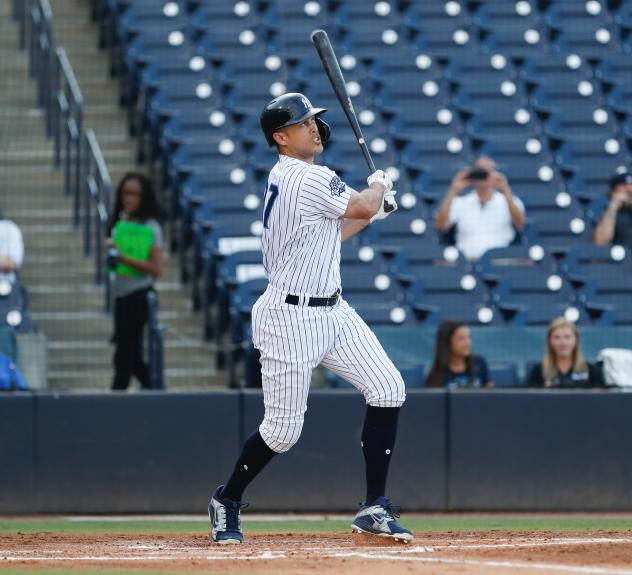 Giancarlo Stanton at bat for the Tampa Tarpons