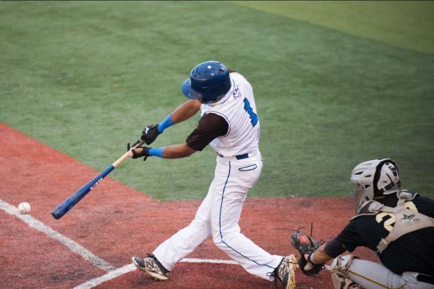 Terre Haute REX at bat