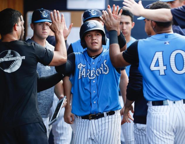 Jason Lopez receives congratulations in the Tampa Tarpons dugout