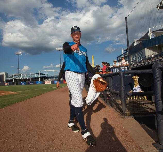 Tampa Tarpons pitcher Miguel Yajure