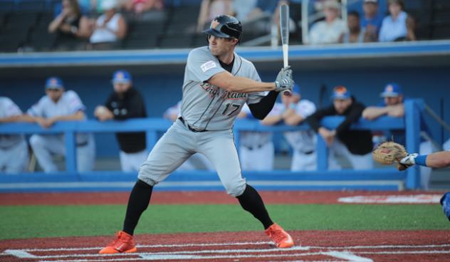 Den Dekker of the Long Island Ducks