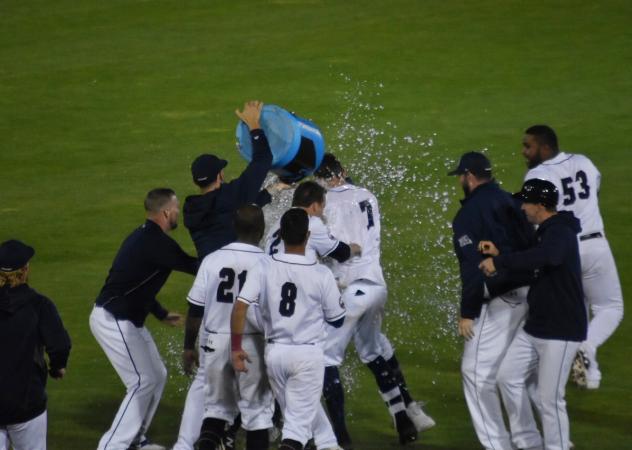 Somerset Patriots celebrate a walk-off win