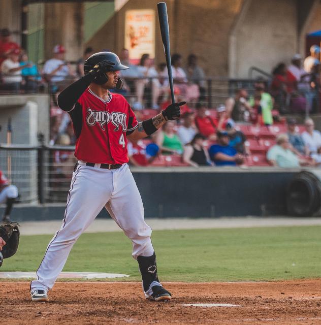 Mario Feliciano at bat for the Carolina Mudcats