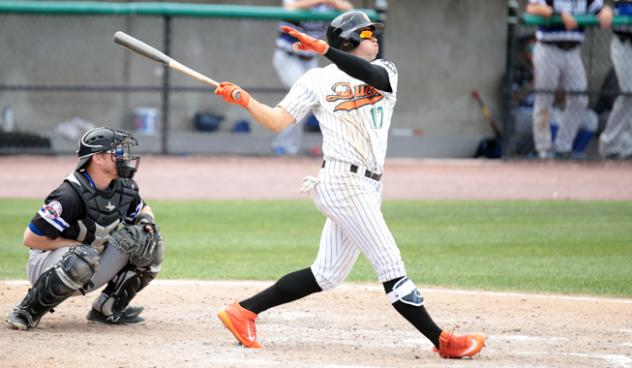 Den Dekker swings away for the Long Island Ducks