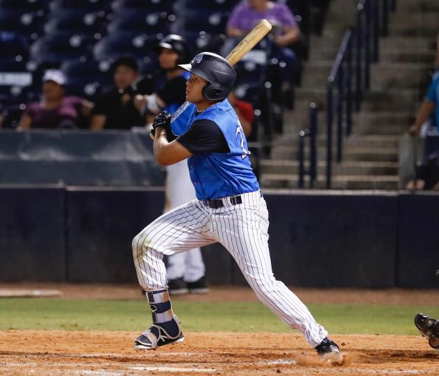 Omar Carrizales of the Tampa Tarpons