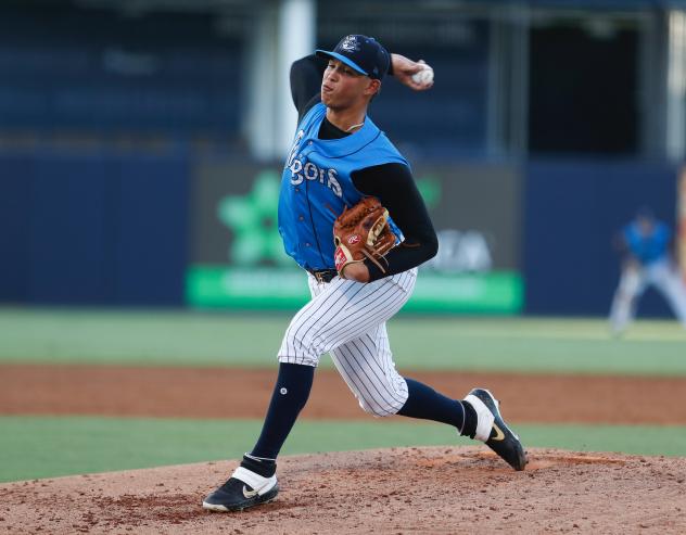 Tampa Tarpons pitcher Miguel Yajure