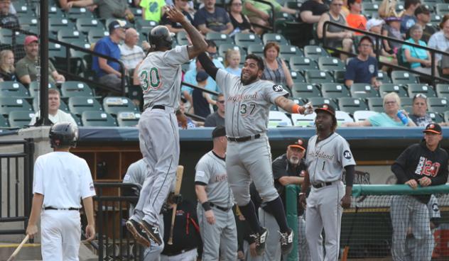 David Washington and Hector Sanchez of the Long Island Ducks exchange high fives