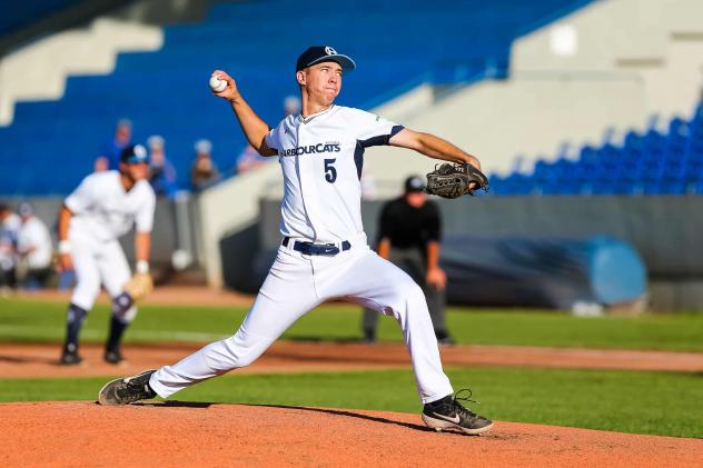 Victoria HarbourCats pitcher DJ Peters