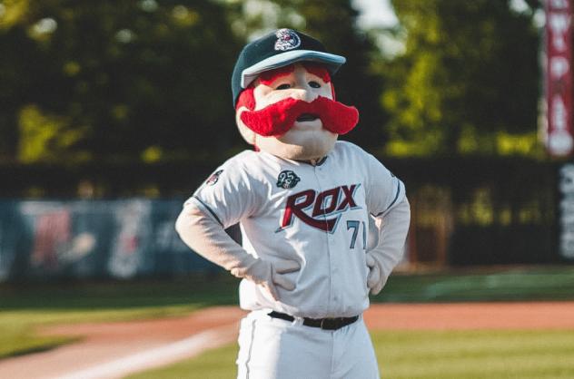 St. Cloud Rox mascot Chisel