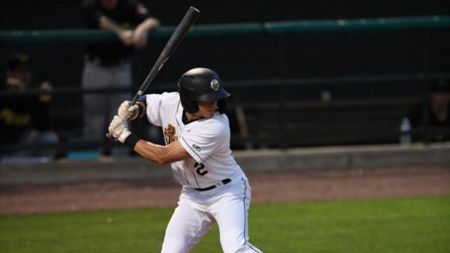 Brandon Lockridge of the Charleston RiverDogs