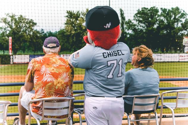 St. Cloud Rox mascot Chisel watches the game