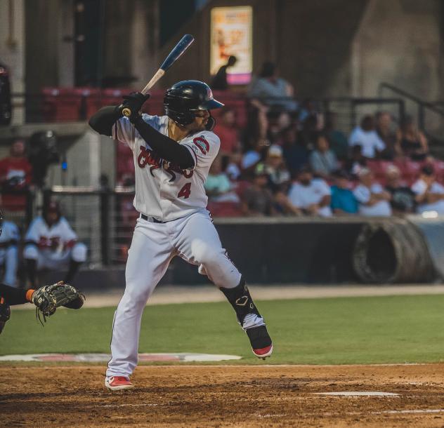 Mario Feliciano at bat for the Carolina Mudcats