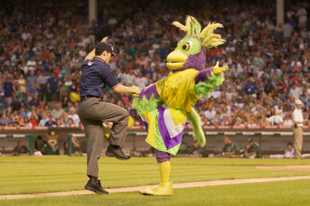 Birdzerk at the Syracuse Mets game