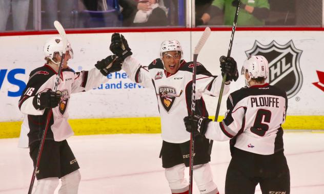 Vancouver Giants celebrate a goal last season