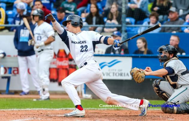 Victoria HarbourCats infielder Jason Willow