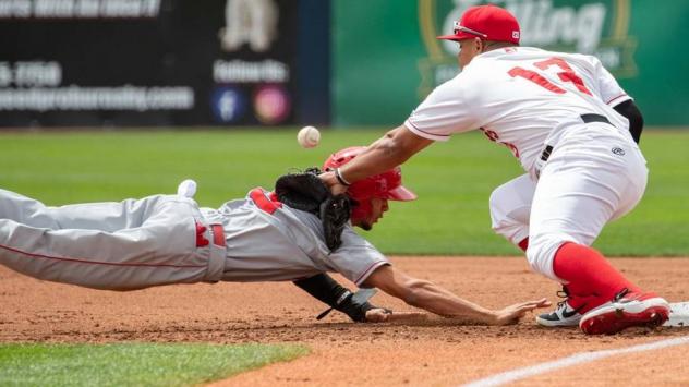 Vancouver Canadians 1B Yorman Rodriguez struggles to keep a pick-off throw from getting past him on Friday afternoon