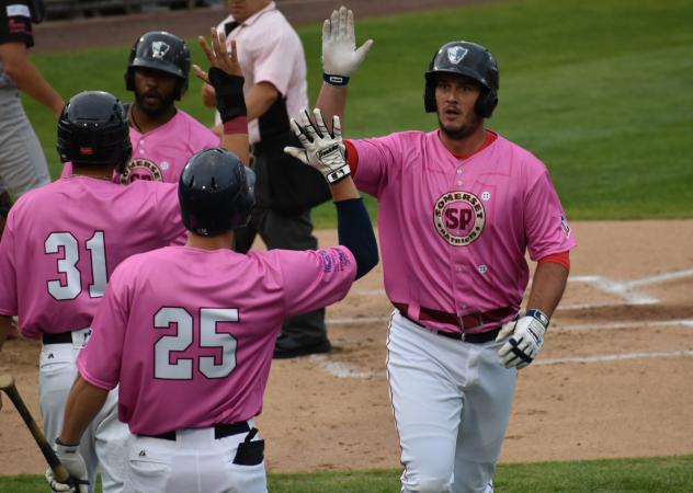 Somerset Patriots line up for high fives following a home run