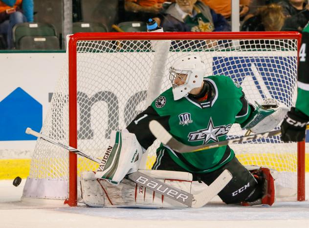 Texas Stars goaltender Tomas Sholl