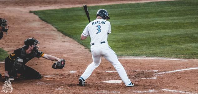 Brady Harlan of the St. Cloud Rox